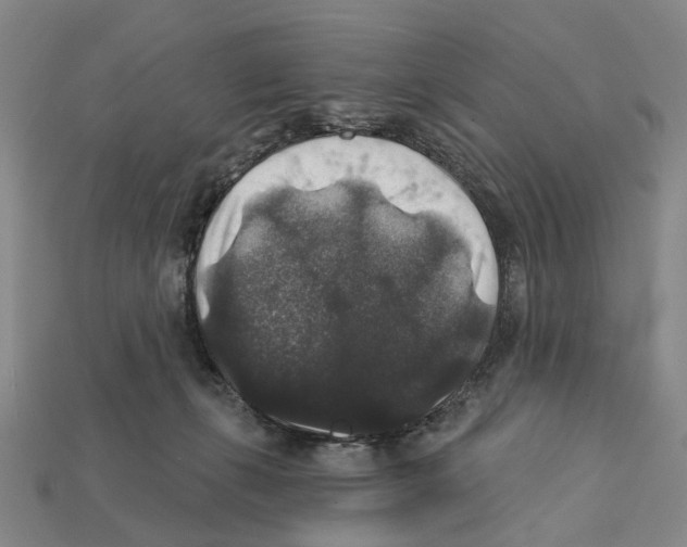 X0000112420271200909251522