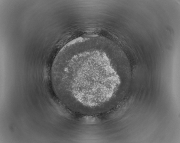 X0000112420272200909251522