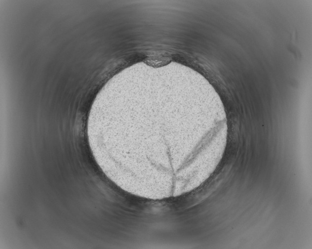 X0000112420273200909251522