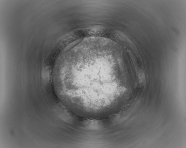 X0000112420276200909251522