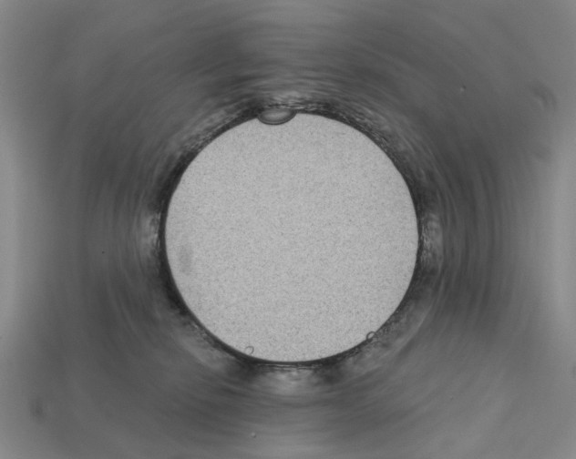 X0000112420278200909251522