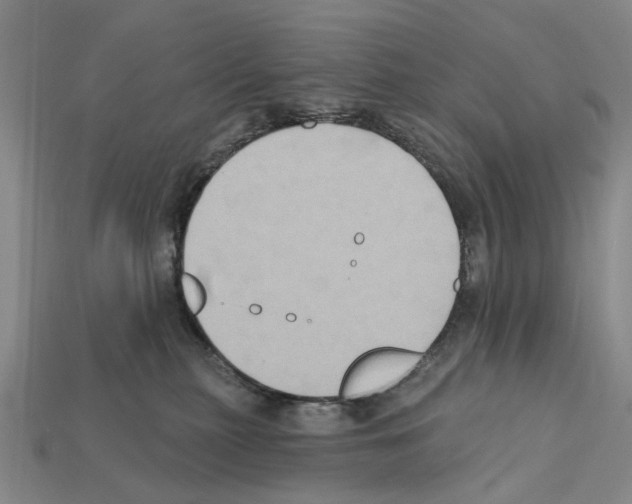 X0000112420279200909251522