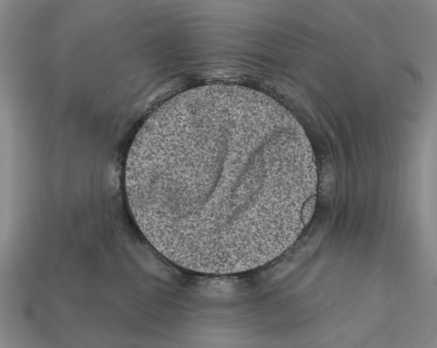 X0000112420282200909251522