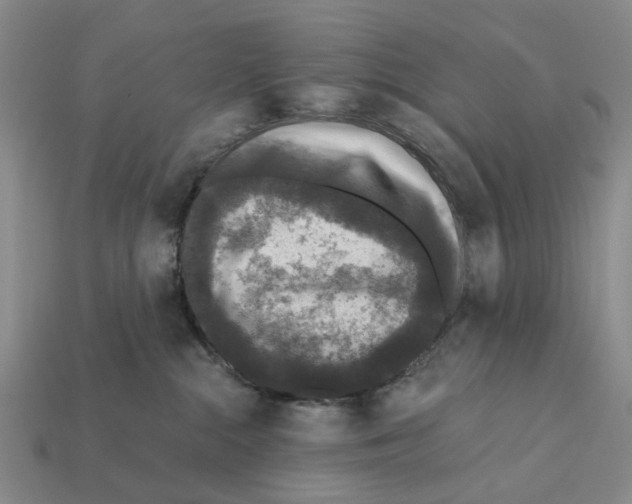 X0000112420284200909251522