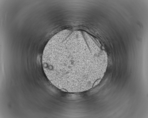 X0000112420286200909251522