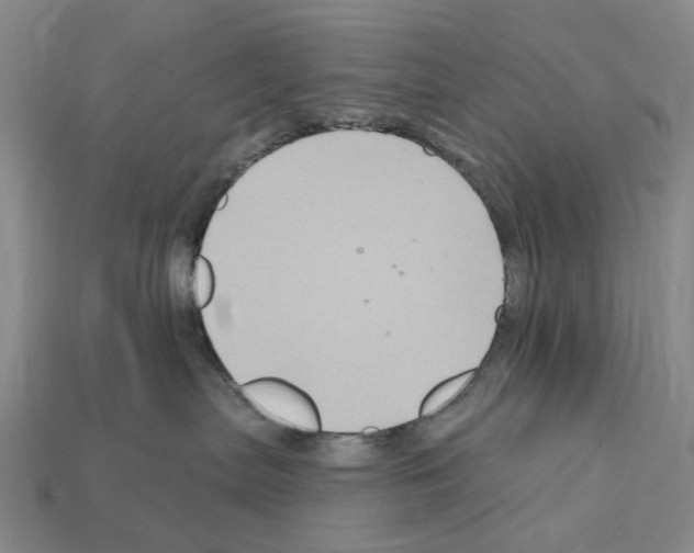 X0000112420287200909251522