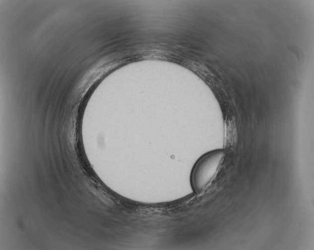 X0000112420291200909251522