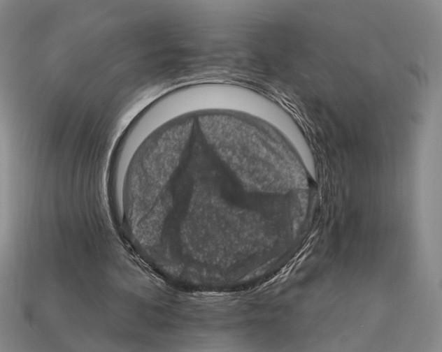 X0000112420292200909251522