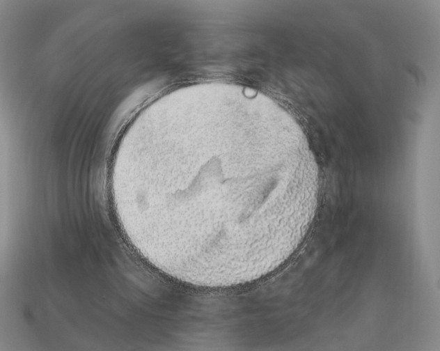 X0000112420293200909251522