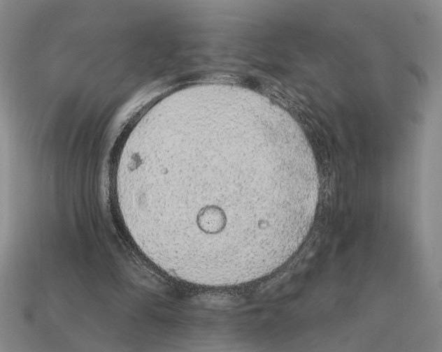 X0000112420294200909251522