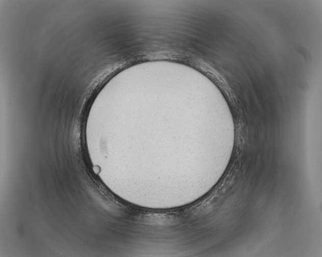 X0000112420298200909251522