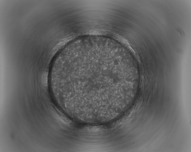 X0000112420299200909251522