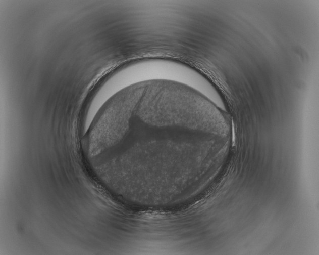 X0000112420300200909251522