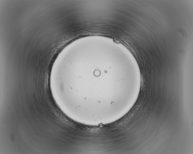 X0000112420301200909251522