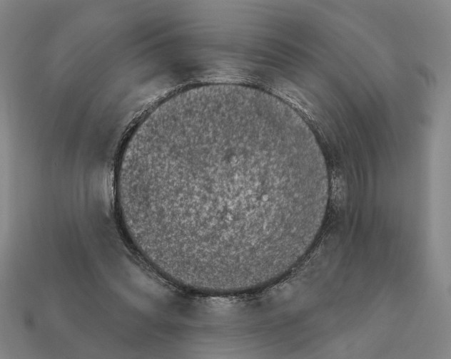 X0000112420302200909251522