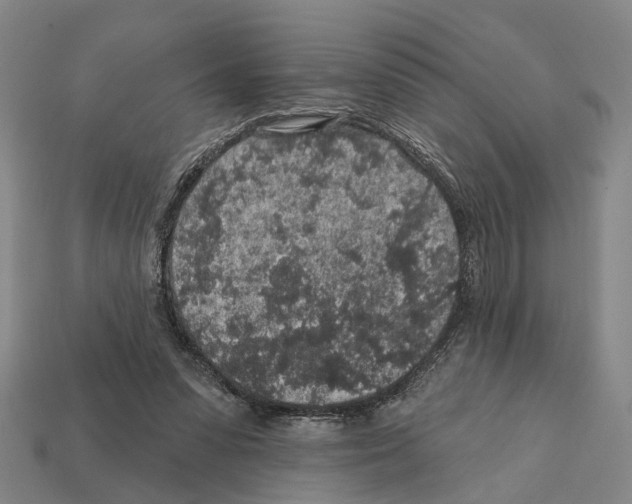 X0000112420303200909251522