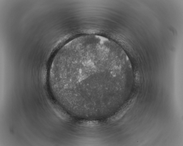 X0000112420304200909251521