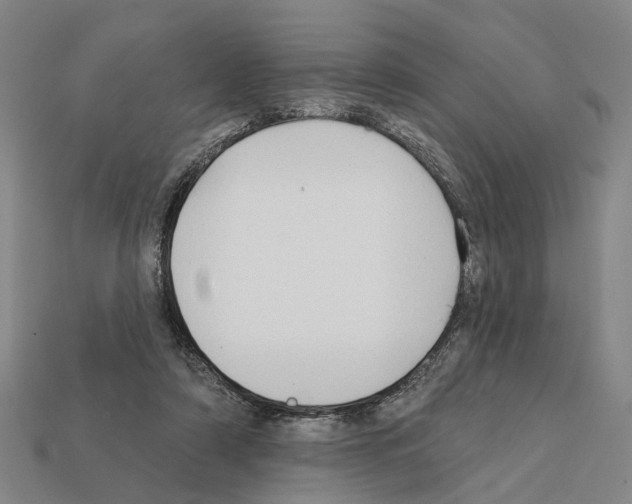 X0000112420306200909251521