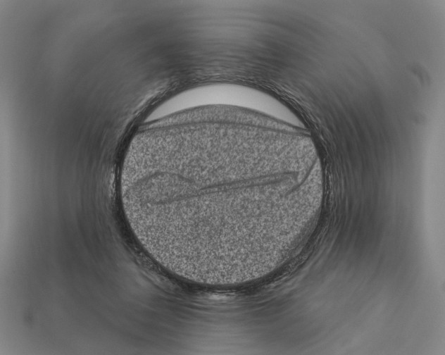 X0000112420308200909251521