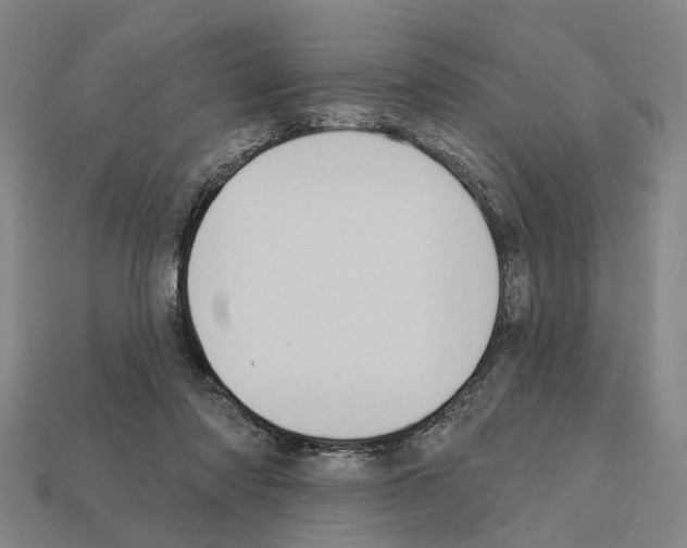 X0000112420310200909251521