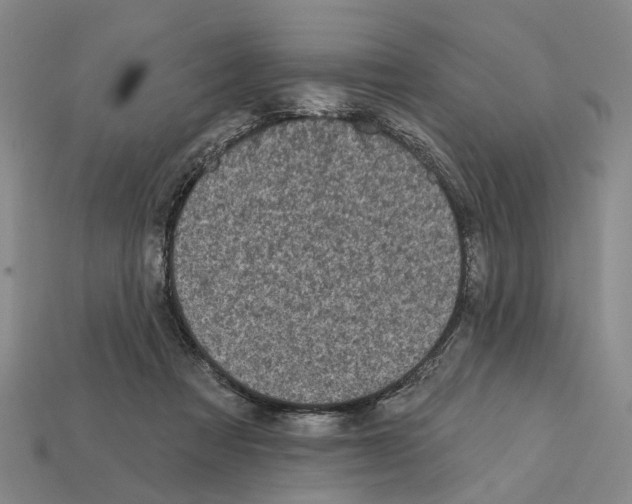 X0000112420313200909251521