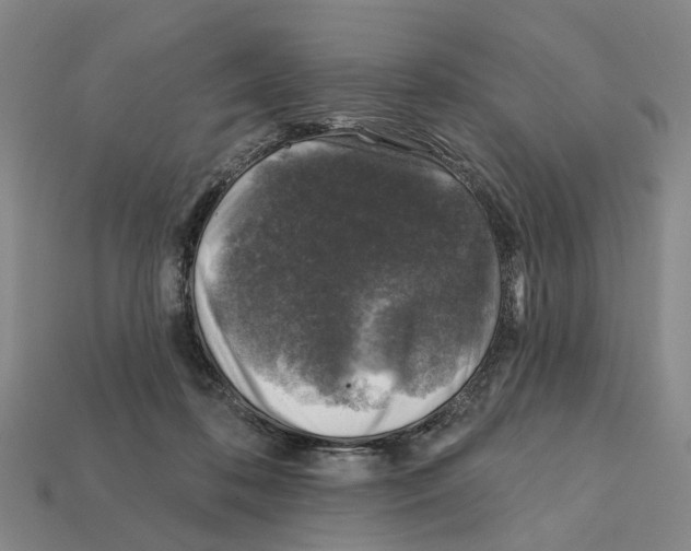 X0000112420316200909251521