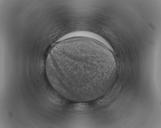 X0000112420320200909251521