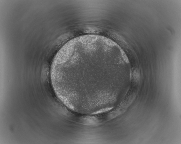 X0000112420322200909251521