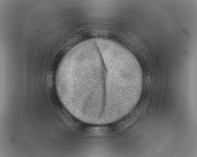 X0000112420323200909251521