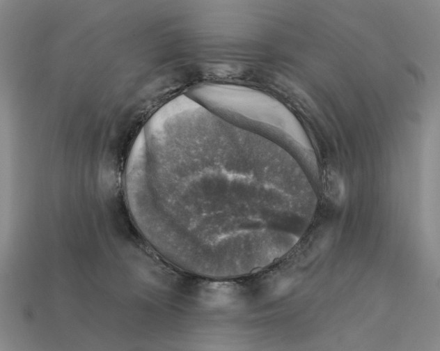 X0000112420324200909251521