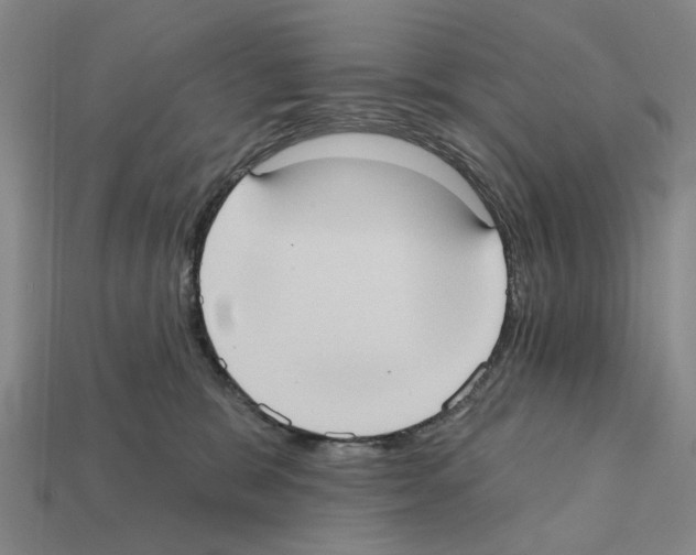 X0000112420327200909251521