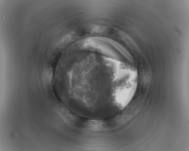 X0000112420328200909251521