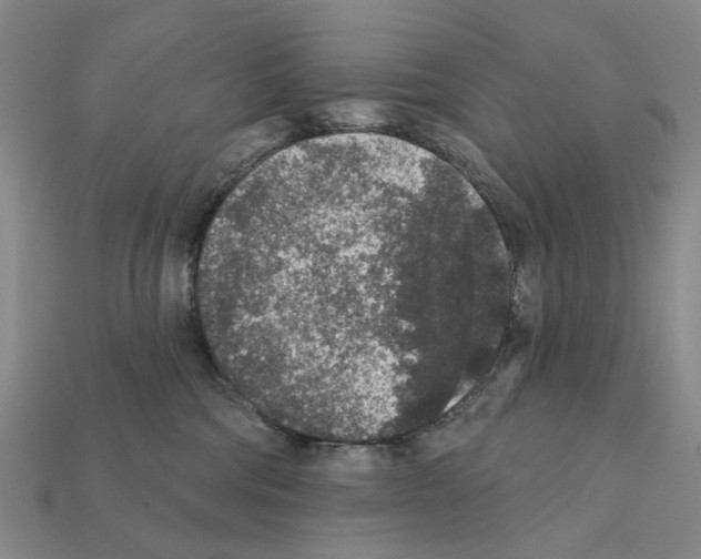 X0000112420330200909251521