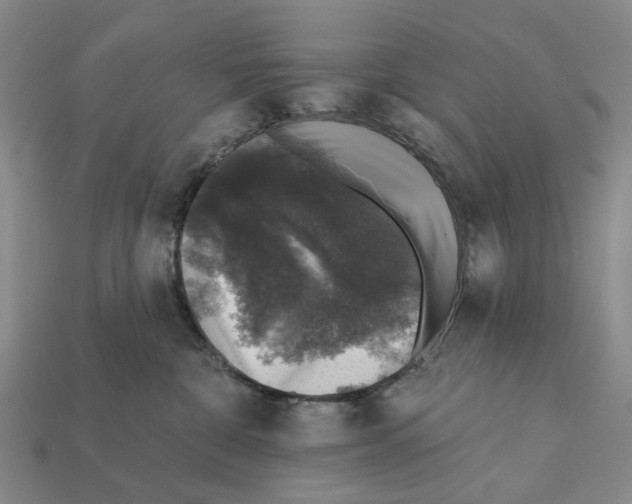 X0000112420332200909251521