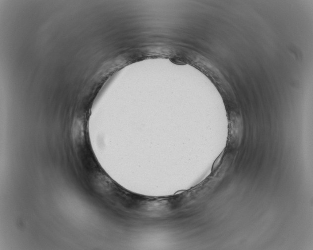 X0000112420333200909251521