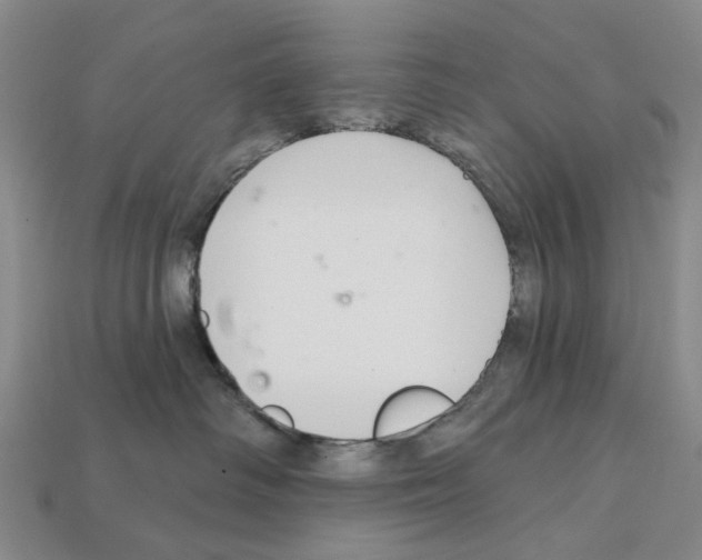 X0000112420334200909251521