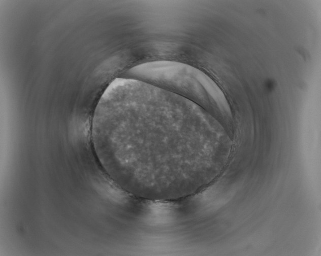 X0000112420336200909251521