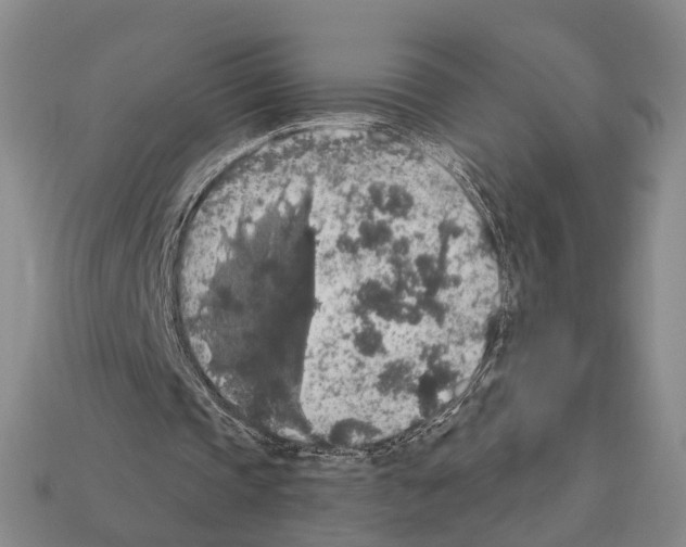 X0000112420337200909251520