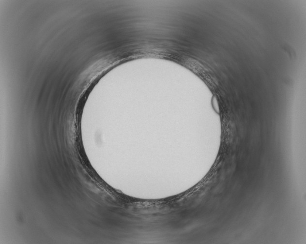 X0000112420338200909251520