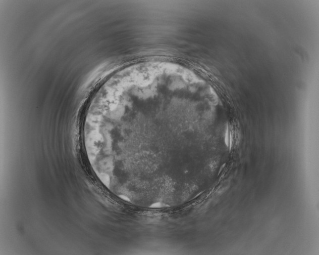 X0000112420339200909251520