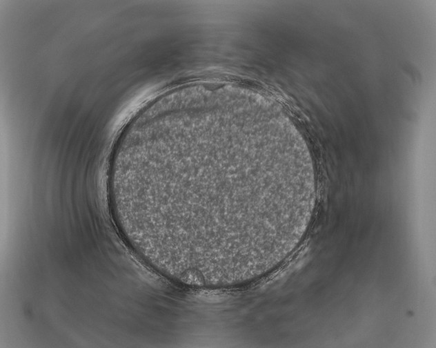 X0000112420341200909251521