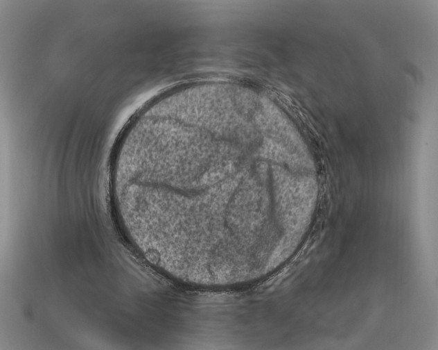 X0000112420342200909251521