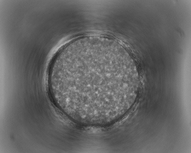 X0000112420343200909251521