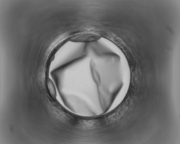 X0000112420344200909251521