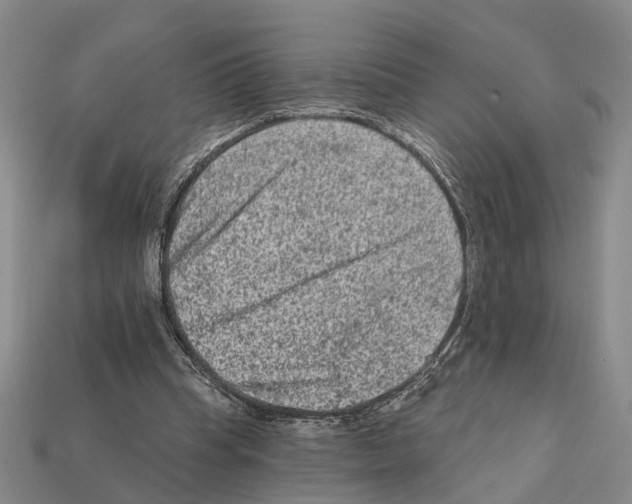 X0000112420345200909251521