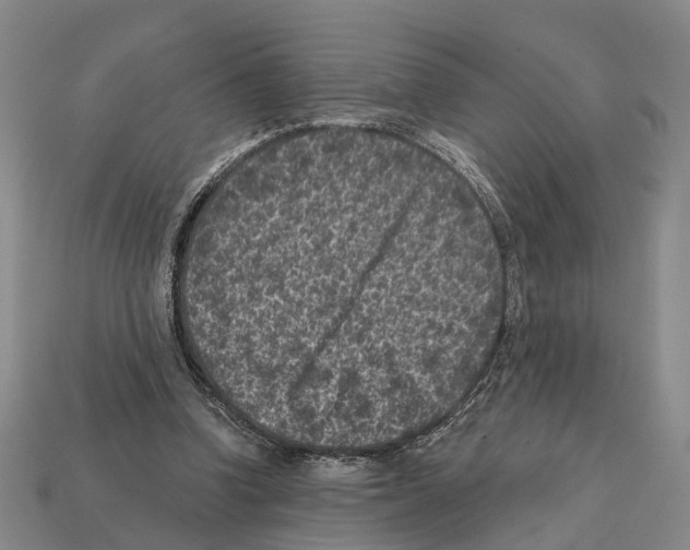 X0000112420346200909251521