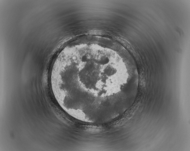 X0000112420347200909251521