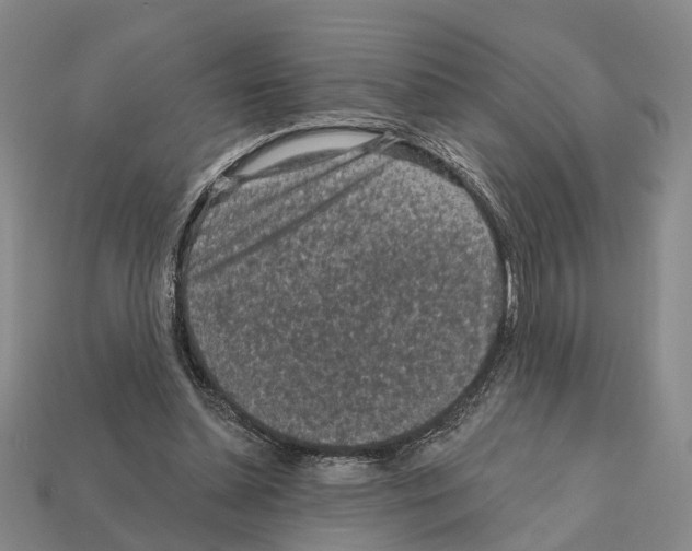 X0000112420348200909251521