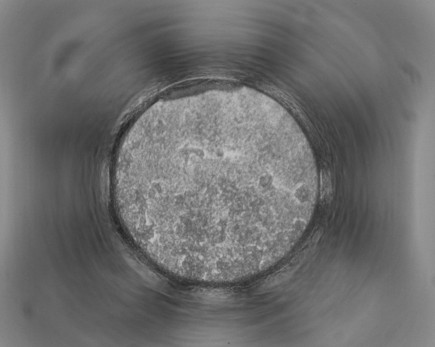 X0000112420349200909251521