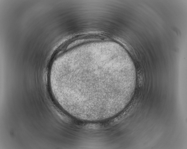 X0000112420350200909251521